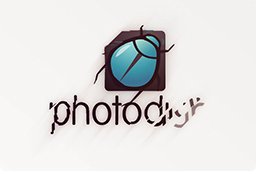 Photo Gallery - 29