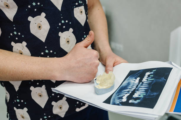 Bone solutions for implants 3 istockphoto 1469240268 612x612 1 October 2025 Vadodara India